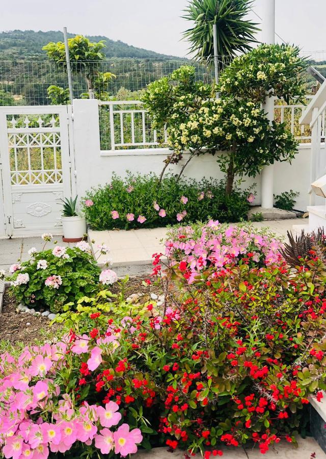 Kalavárda Lemon Tree'S House 빌라 외부 사진