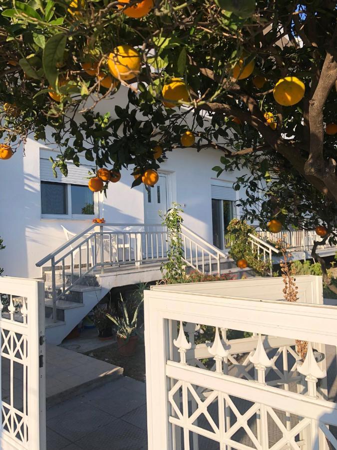 Kalavárda Lemon Tree'S House 빌라 외부 사진
