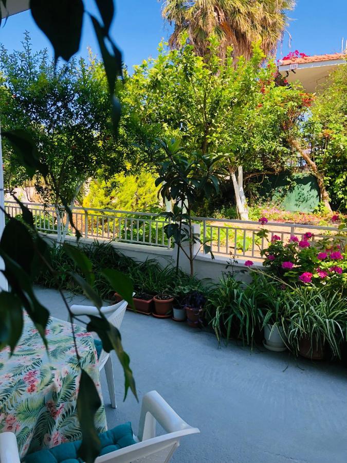 Kalavárda Lemon Tree'S House 빌라 외부 사진