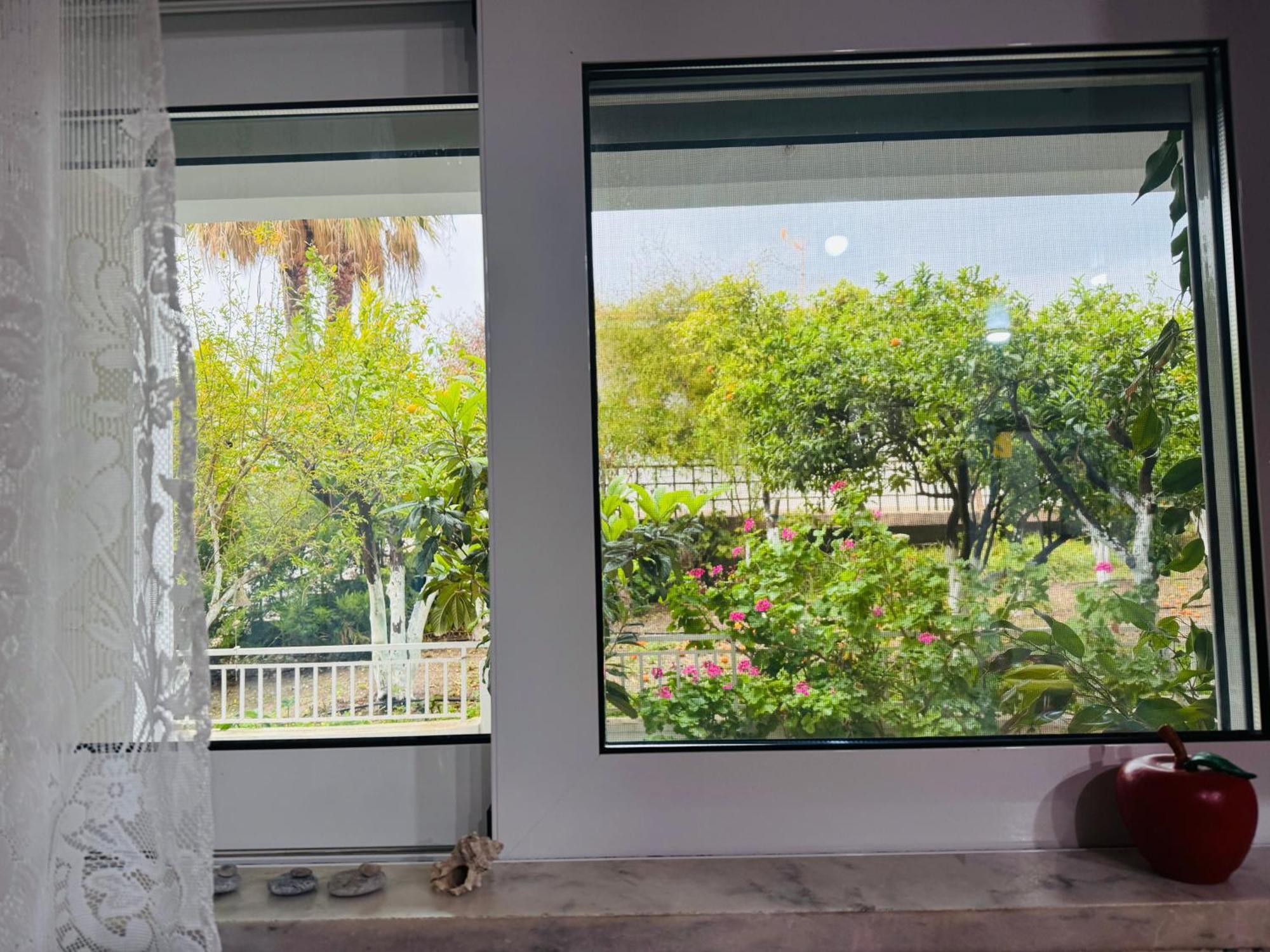 Kalavárda Lemon Tree'S House 빌라 외부 사진