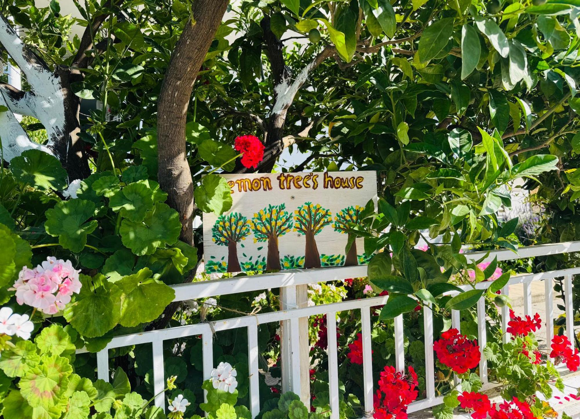 Kalavárda Lemon Tree'S House 빌라 외부 사진